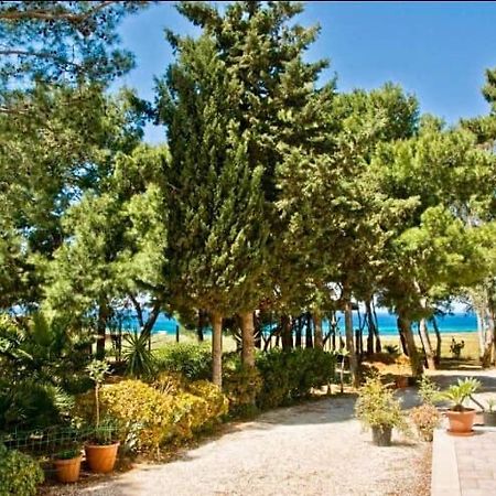 Appartamento I Tramonti Di Cofano Castelluzzo Ngoại thất bức ảnh