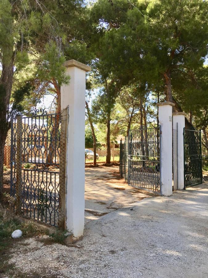 Appartamento I Tramonti Di Cofano Castelluzzo Ngoại thất bức ảnh