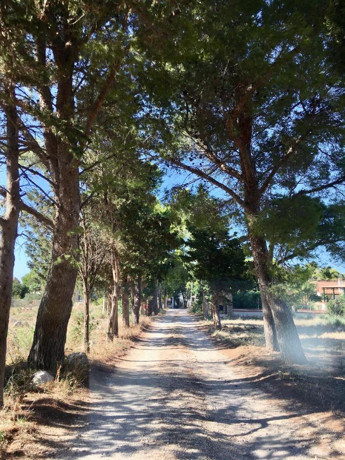Appartamento I Tramonti Di Cofano Castelluzzo Ngoại thất bức ảnh