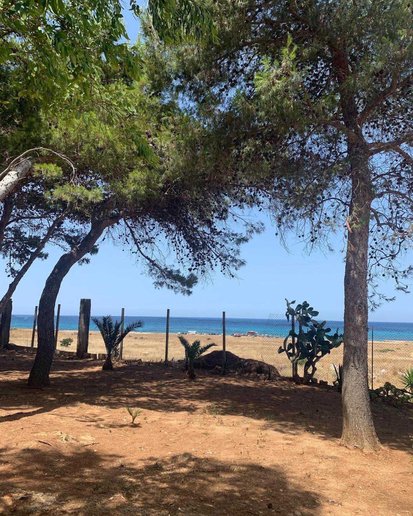 Appartamento I Tramonti Di Cofano Castelluzzo Ngoại thất bức ảnh